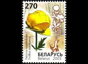 Weißrußland Mi.Nr. 490 Bedrohte Pflanzen Trollblume (270)