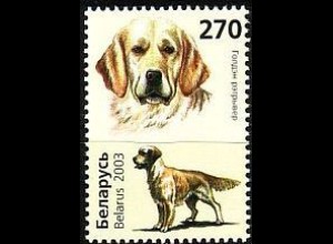 Weißrußland Mi.Nr. 502 Hunde Golden Retriever (270)