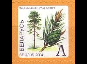 Weißrußland Mi.Nr. 536 Freim., Bäume + Sträucher Kiefer (A)