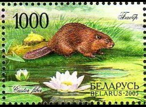 Weißrußland Mi.Nr. 591 Natur, Biber (1000)
