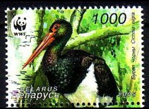 Weißrußland Mi.Nr. 599 Naturschutz, Schwarzstorch (1000)