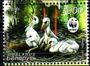 Weißrußland Mi.Nr. 600 Naturschutz, Schwarzstorch (1000)
