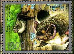 Weißrußland Mi.Nr. 638 Fledermäuse, Zweifarbfledermaus (1000)