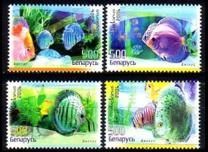 Weißrußland Mi.Nr. 651-54 Diskusfische (4 Werte)