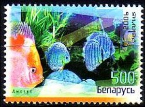 Weißrußland Mi.Nr. 651 Diskusfische (500)