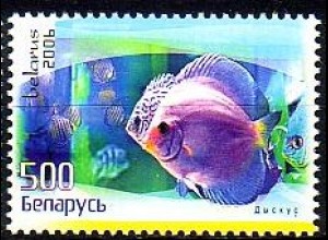 Weißrußland Mi.Nr. 652 Diskusfische (500)