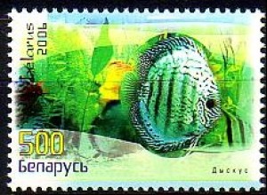 Weißrußland Mi.Nr. 653 Diskusfische (500)
