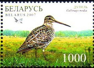 Weißrußland Mi.Nr. 670 Naturschutzgebiete, Doppelchnepfe (1000)