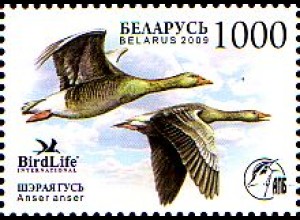 Weißrußland Mi.Nr. 762 Graugans - Vogel des Jahres (1000)