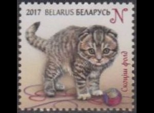 Weißrussland MiNr. 1171 Kindermarken, Junge Katzen, Scottish Fold (N)
