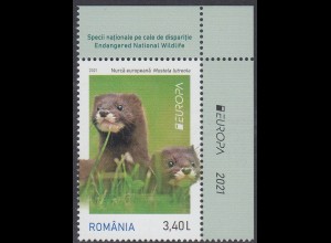 Rumänien MiNr. 7850A Europa 2021, Gefährdete Wildtiere: Europäischer Nerz (3,40)