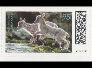 D,Bund MiNr. 3629 aus Markenset Tierbabys, Alpensteinbock skl. (95)